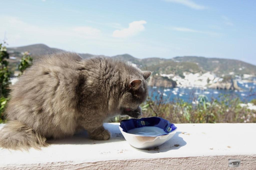 Villa Pina Ponza Dış mekan fotoğraf